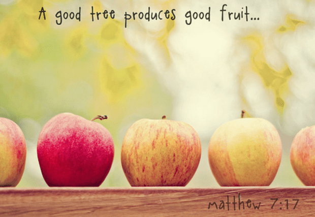 a good tree produce good fruit