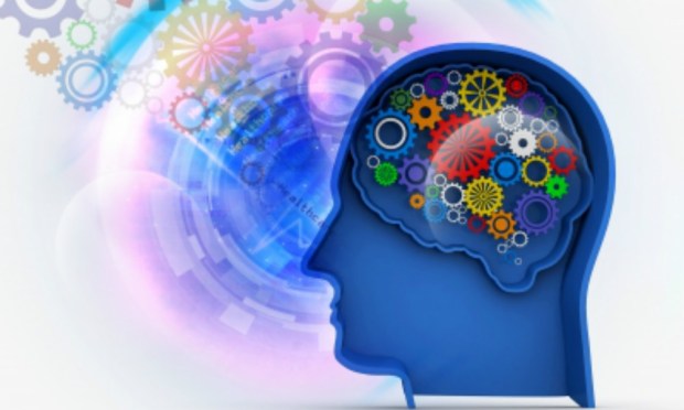 human brain - intelligence concept