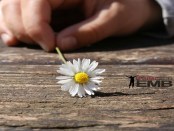 Excellent Is Your Name