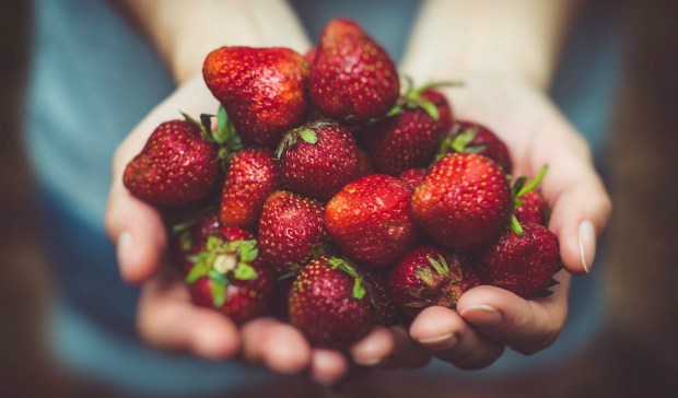 Body and Mind Detox 5 Steps To A Healthier You - Fresh Strawberries