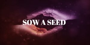 Sow a seed